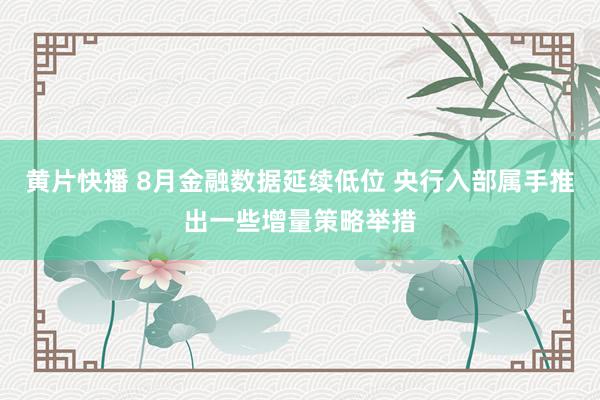 黄片快播 8月金融数据延续低位 央行入部属手推出一些增量策略举措