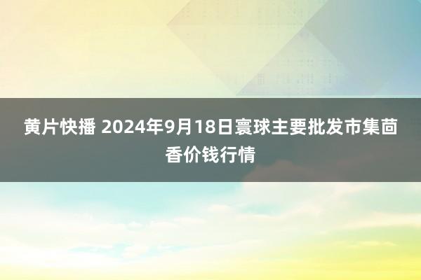 黄片快播 2024年9月18日寰球主要批发市集茴香价钱行情