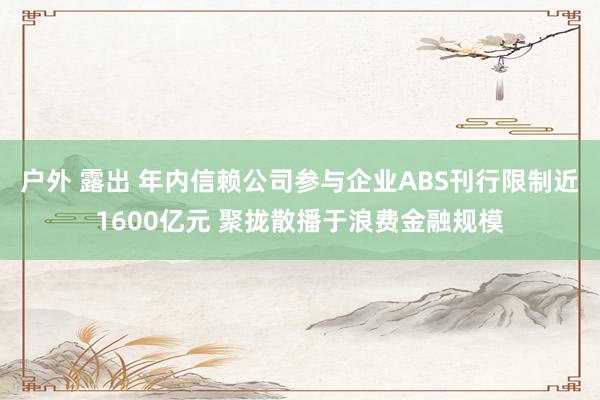 户外 露出 年内信赖公司参与企业ABS刊行限制近1600亿元 聚拢散播于浪费金融规模