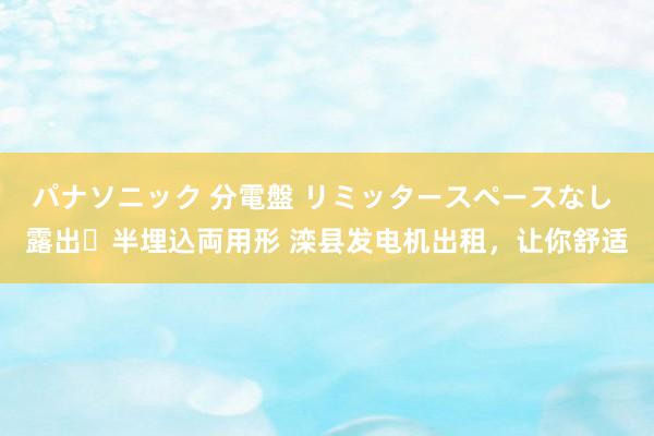 パナソニック 分電盤 リミッタースペースなし 露出・半埋込両用形 滦县发电机出租，让你舒适