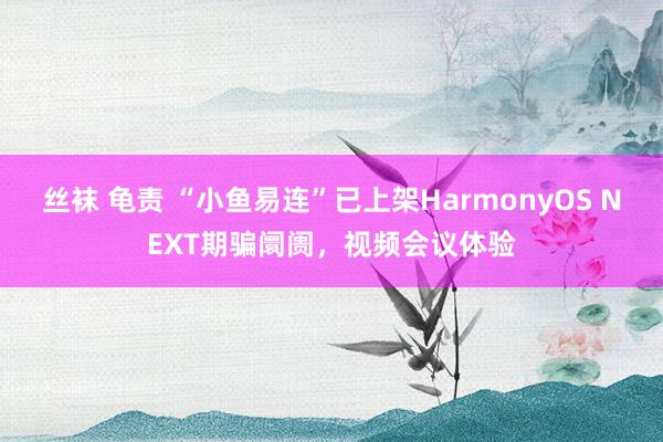 丝袜 龟责 “小鱼易连”已上架HarmonyOS NEXT期骗阛阓，视频会议体验