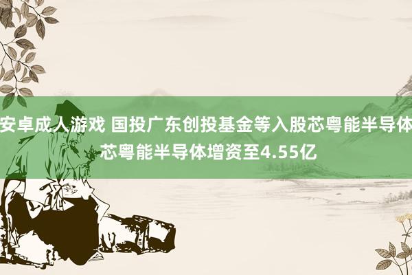 安卓成人游戏 国投广东创投基金等入股芯粤能半导体 芯粤能半导体增资至4.55亿