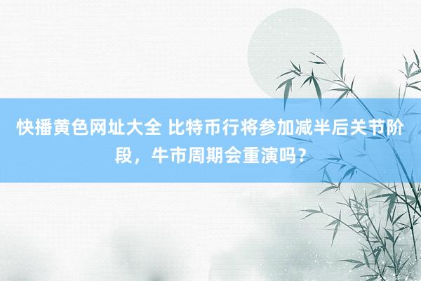 快播黄色网址大全 比特币行将参加减半后关节阶段，牛市周期会重演吗？