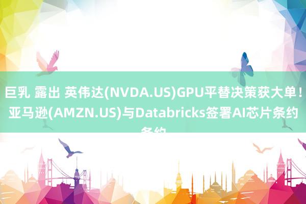 巨乳 露出 英伟达(NVDA.US)GPU平替决策获大单！亚马逊(AMZN.US)与Databricks签署AI芯片条约