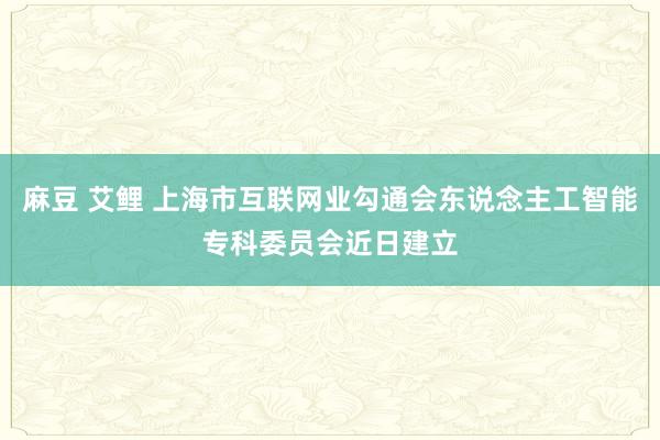 麻豆 艾鲤 上海市互联网业勾通会东说念主工智能专科委员会近日建立