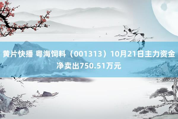 黄片快播 粤海饲料（001313）10月21日主力资金净卖出750.51万元