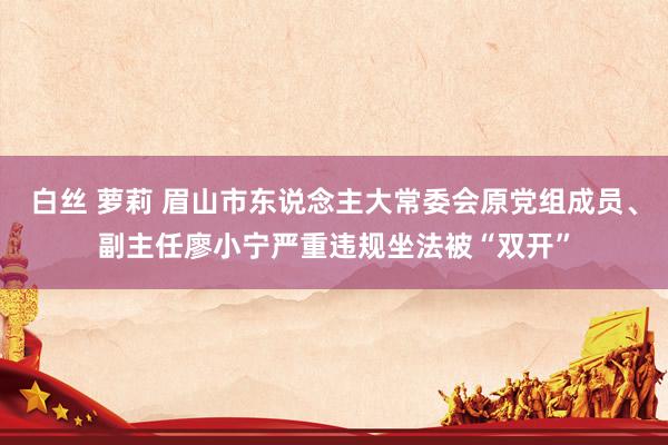 白丝 萝莉 眉山市东说念主大常委会原党组成员、副主任廖小宁严重违规坐法被“双开”