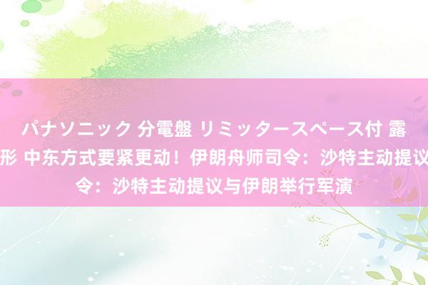 パナソニック 分電盤 リミッタースペース付 露出・半埋込両用形 中东方式要紧更动！伊朗舟师司令：沙特主动提议与伊朗举行军演