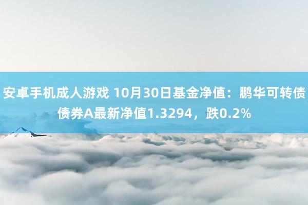 安卓手机成人游戏 10月30日基金净值：鹏华可转债债券A最新净值1.3294，跌0.2%