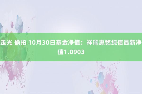 走光 偷拍 10月30日基金净值：祥瑞惠铭纯债最新净值1.0903