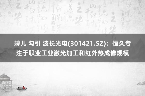 婷儿 勾引 波长光电(301421.SZ)：恒久专注于职业工业激光加工和红外热成像规模