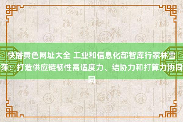 快播黄色网址大全 工业和信息化部智库行家林雪萍：打造供应链韧性需适度力、结协力和打算力协同