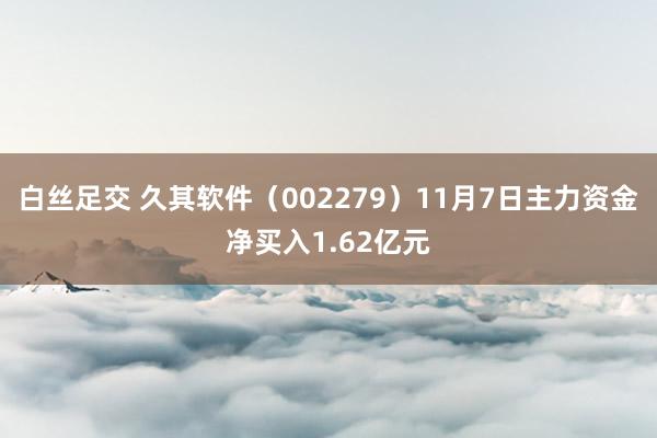 白丝足交 久其软件（002279）11月7日主力资金净买入1.62亿元