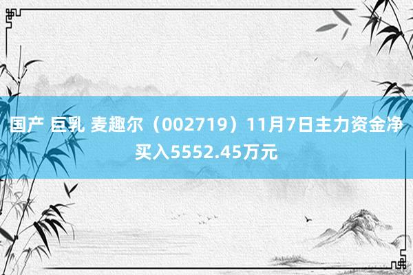 国产 巨乳 麦趣尔（002719）11月7日主力资金净买入5552.45万元