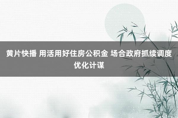 黄片快播 用活用好住房公积金 场合政府抓续调度优化计谋