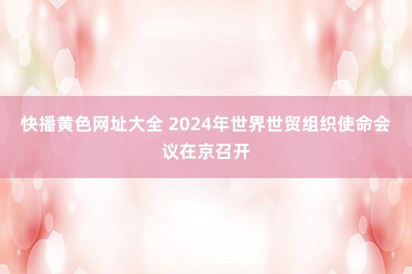 快播黄色网址大全 2024年世界世贸组织使命会议在京召开