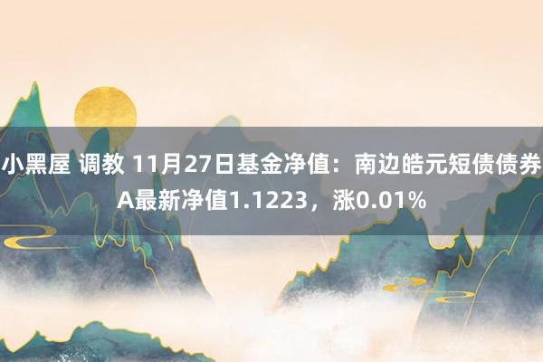 小黑屋 调教 11月27日基金净值：南边皓元短债债券A最新净值1.1223，涨0.01%