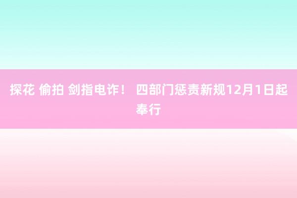 探花 偷拍 剑指电诈！ 四部门惩责新规12月1日起奉行