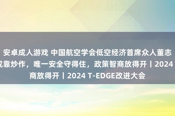 安卓成人游戏 中国航空学会低空经济首席众人董志毅：低空经济弗成靠炒作，唯一安全守得住，政策智商放得开丨2024 T-EDGE改进大会