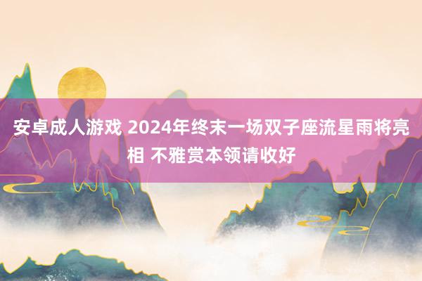 安卓成人游戏 2024年终末一场双子座流星雨将亮相 不雅赏本领请收好