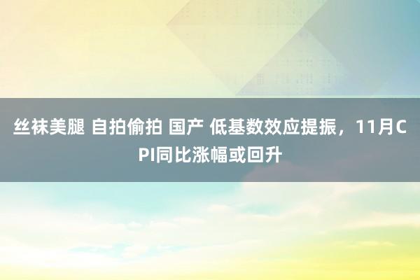 丝袜美腿 自拍偷拍 国产 低基数效应提振，11月CPI同比涨幅或回升