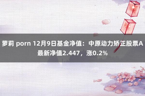 萝莉 porn 12月9日基金净值：中原动力矫正股票A最新净值2.447，涨0.2%