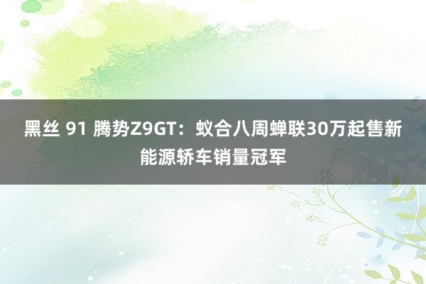 黑丝 91 腾势Z9GT：蚁合八周蝉联30万起售新能源轿车销量冠军