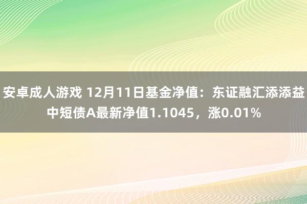 安卓成人游戏 12月11日基金净值：东证融汇添添益中短债A最新净值1.1045，涨0.01%