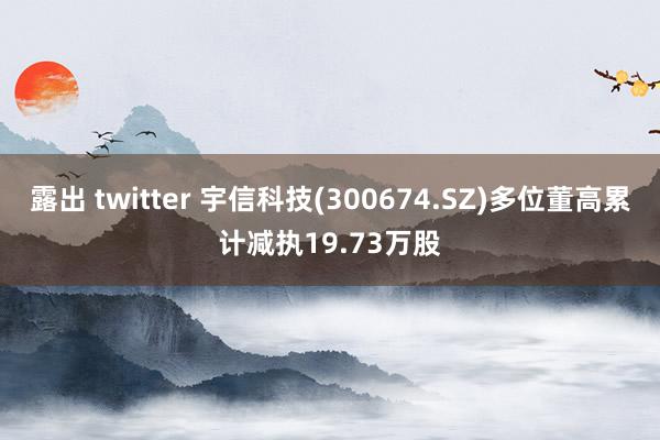 露出 twitter 宇信科技(300674.SZ)多位董高累计减执19.73万股