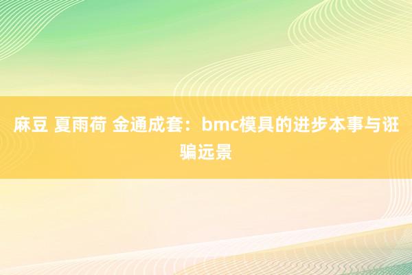 麻豆 夏雨荷 金通成套：bmc模具的进步本事与诳骗远景