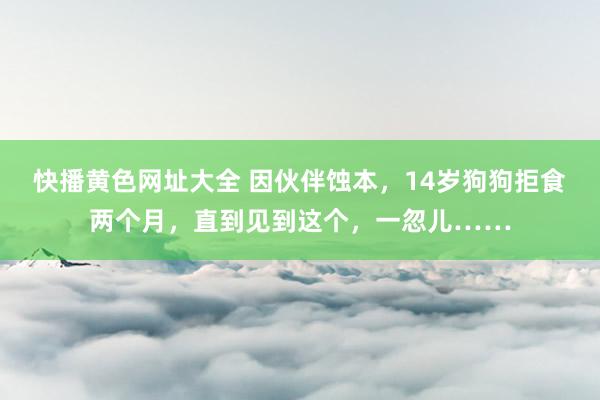 快播黄色网址大全 因伙伴蚀本，14岁狗狗拒食两个月，直到见到这个，一忽儿……