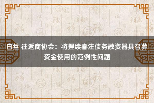 白丝 往返商协会：将捏续眷注债务融资器具召募资金使用的范例性问题