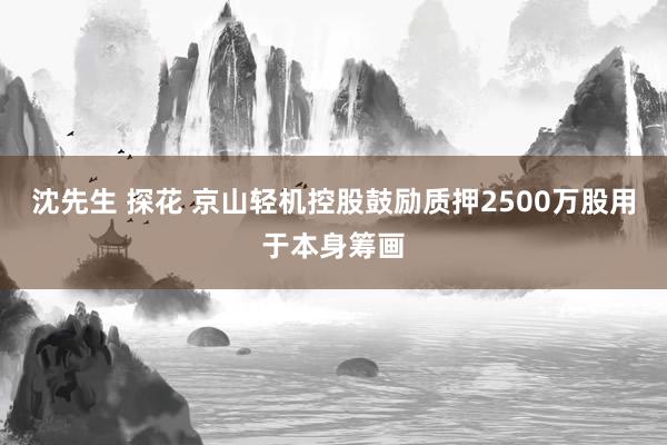 沈先生 探花 京山轻机控股鼓励质押2500万股用于本身筹画