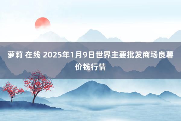 萝莉 在线 2025年1月9日世界主要批发商场良薯价钱行情