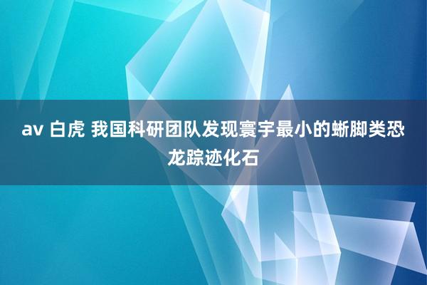 av 白虎 我国科研团队发现寰宇最小的蜥脚类恐龙踪迹化石