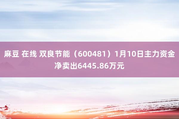 麻豆 在线 双良节能（600481）1月10日主力资金净卖出6445.86万元