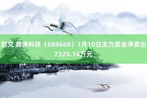 肛交 鼎通科技（688668）1月10日主力资金净卖出7325.14万元