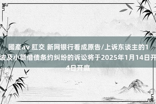 國產av 肛交 新网银行看成原告/上诉东谈主的1起波及小额借债条约纠纷的诉讼将于2025年1月14日开庭