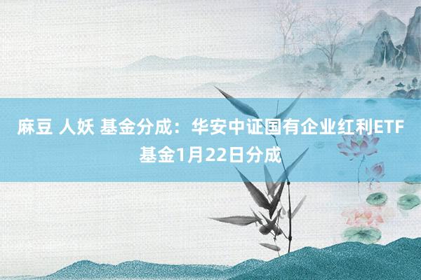 麻豆 人妖 基金分成：华安中证国有企业红利ETF基金1月22日分成