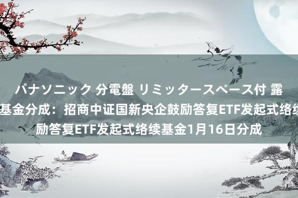 パナソニック 分電盤 リミッタースペース付 露出・半埋込両用形 基金分成：招商中证国新央企鼓励答复ETF发起式络续基金1月16日分成