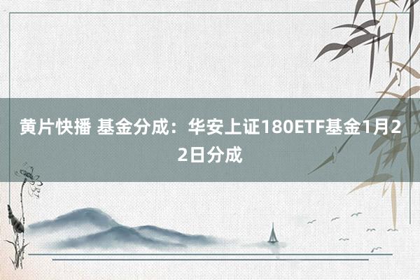 黄片快播 基金分成：华安上证180ETF基金1月22日分成