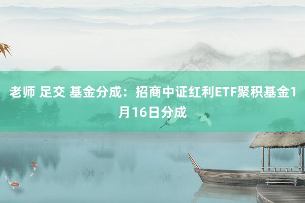 老师 足交 基金分成：招商中证红利ETF聚积基金1月16日分成