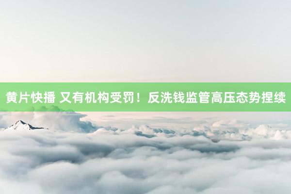 黄片快播 又有机构受罚！反洗钱监管高压态势捏续