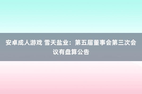 安卓成人游戏 雪天盐业：第五届董事会第三次会议有盘算公告