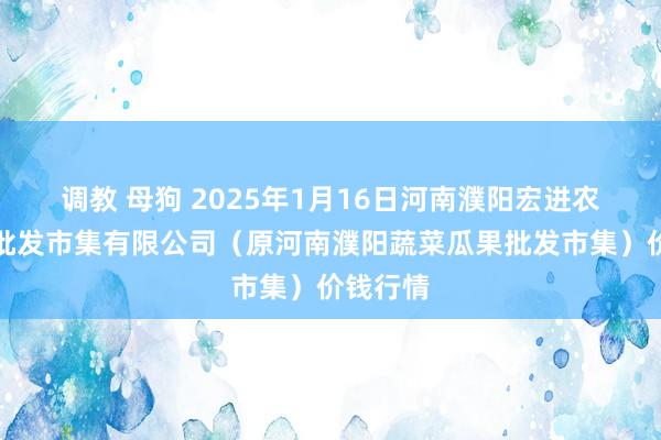 调教 母狗 2025年1月16日河南濮阳宏进农副家具批发市集有限公司（原河南濮阳蔬菜瓜果批发市集）价钱行情